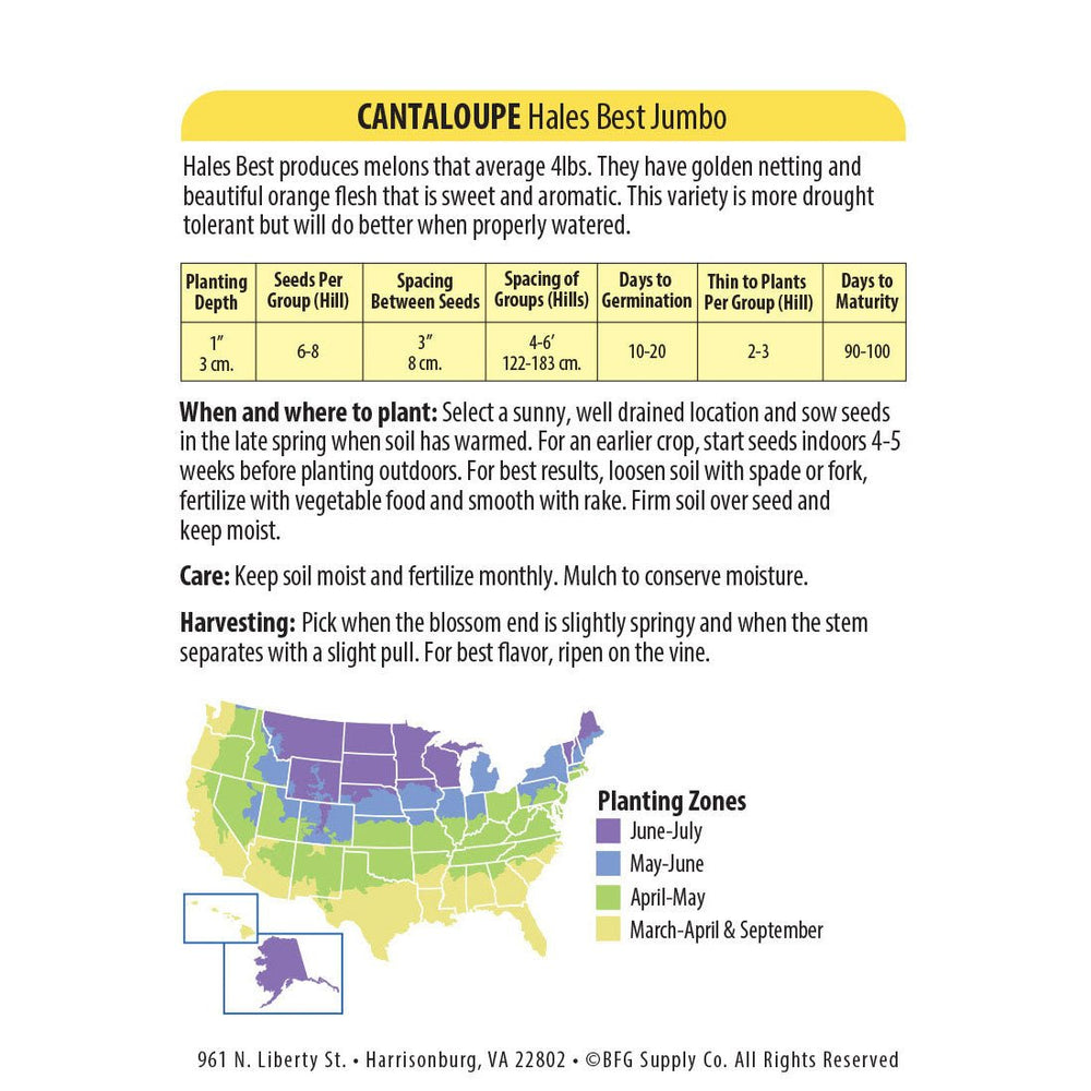 Wetsel Seed™ Organic Hales Best Jumbo Cantaloupe Seed - Greenhouse Megastore