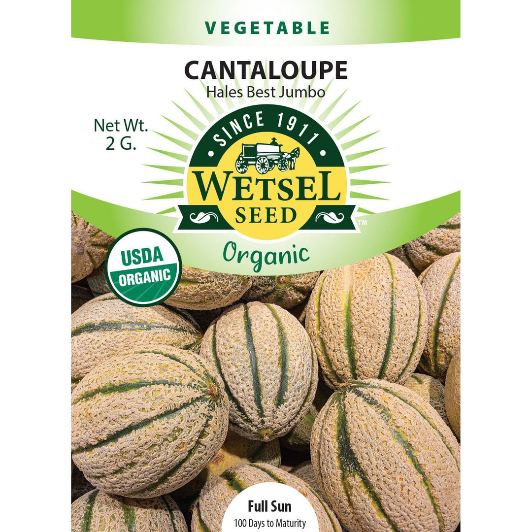 Wetsel Seed™ Organic Hales Best Jumbo Cantaloupe Seed - Greenhouse Megastore
