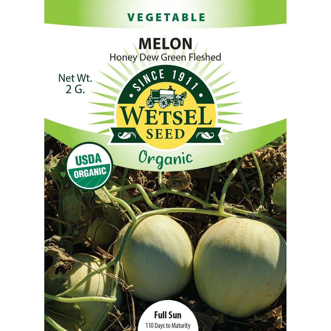 Wetsel Seed™ Organic Honey Dew Green Fleshed Melon Seed - Greenhouse Megastore