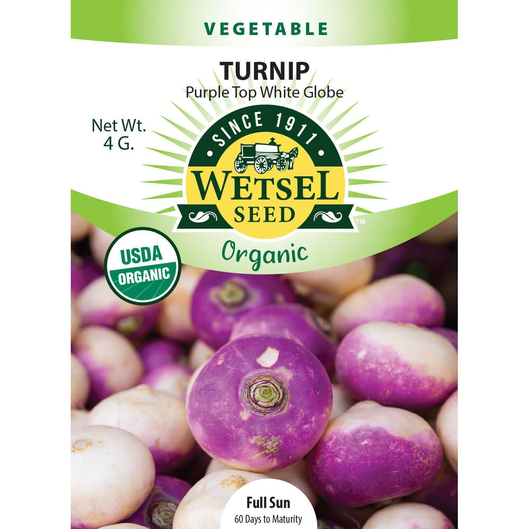 Wetsel Seed™ Organic Purple Top Turnip Seed - Greenhouse Megastore
