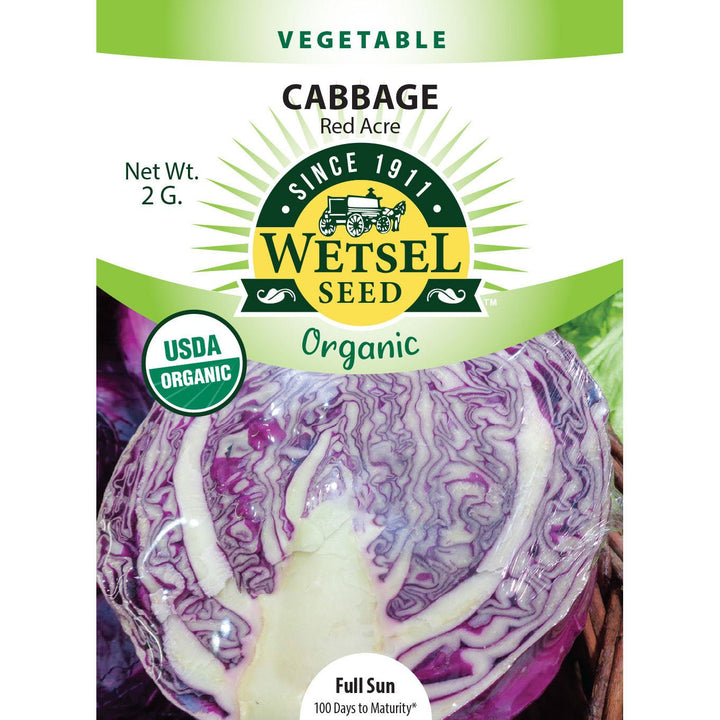 Wetsel Seed™ Organic Red Acre Cabbage Seed - Greenhouse Megastore