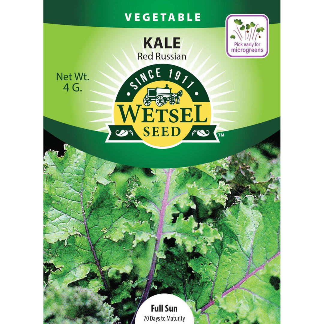 Wetsel Seed™ Organic Red Russian Kale Seed - Greenhouse Megastore