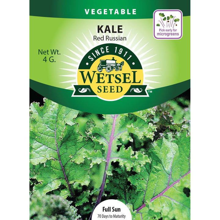 Wetsel Seed™ Organic Red Russian Kale Seed - Greenhouse Megastore