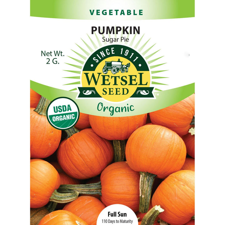 Wetsel Seed™ Organic Sugar Pie Pumpkin Seed - Greenhouse Megastore