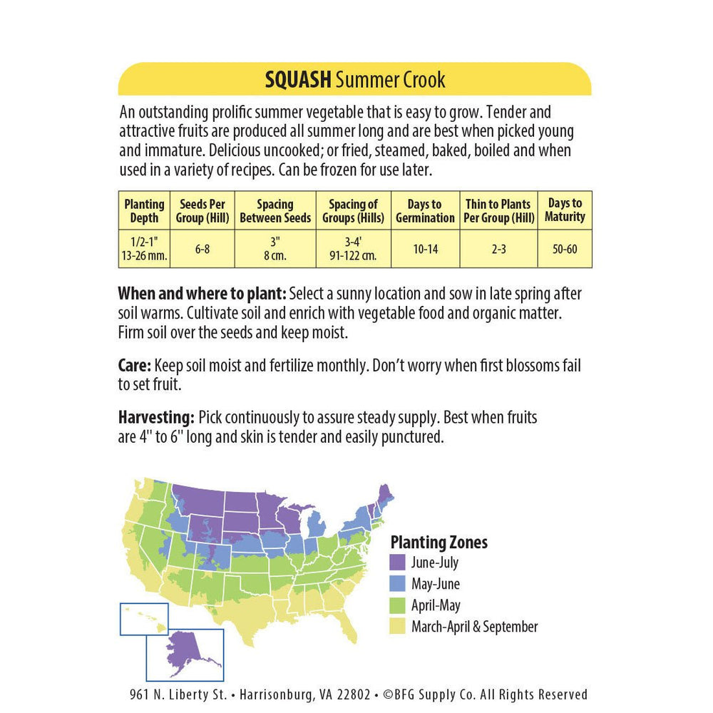 Wetsel Seed™ Organic Summer Crook Squash Seed - Greenhouse Megastore