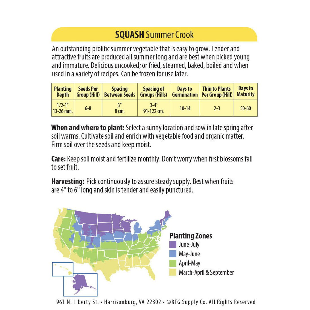 Wetsel Seed™ Organic Summer Crook Squash Seed - Greenhouse Megastore