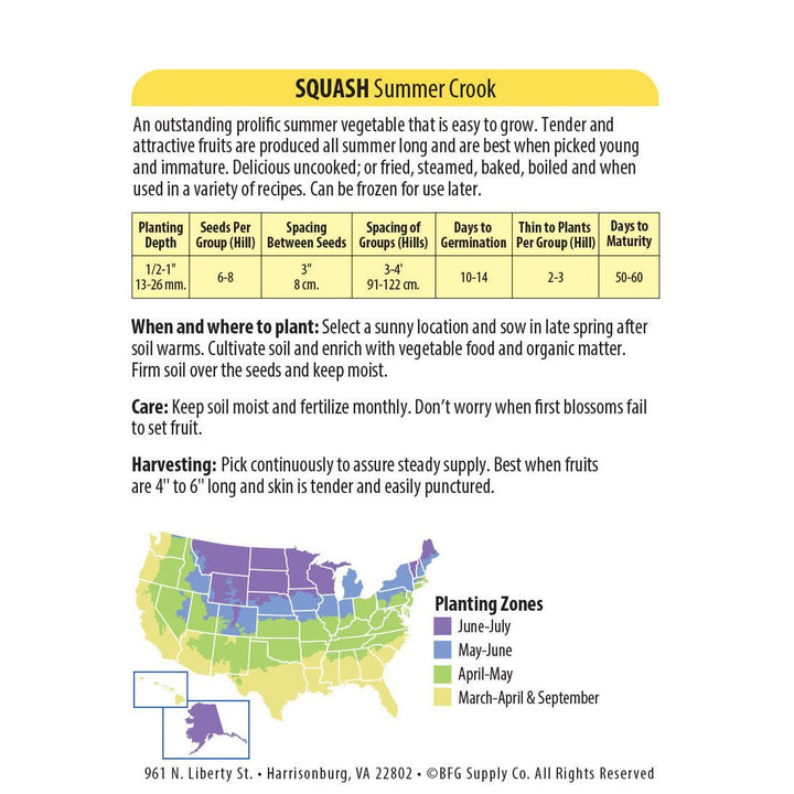 Wetsel Seed™ Organic Summer Crook Squash Seed - Greenhouse Megastore