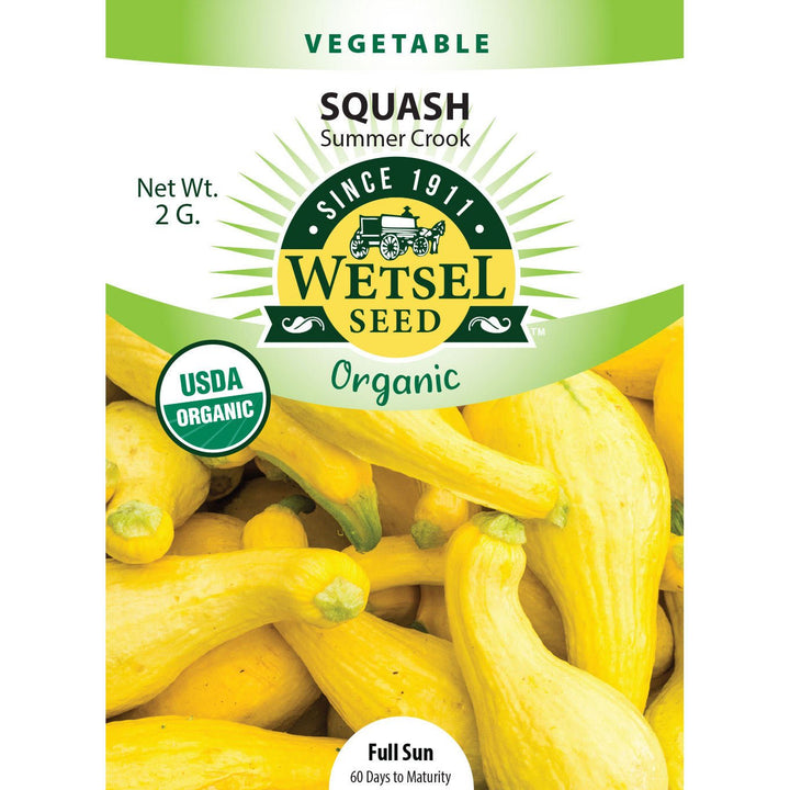 Wetsel Seed™ Organic Summer Crook Squash Seed - Greenhouse Megastore