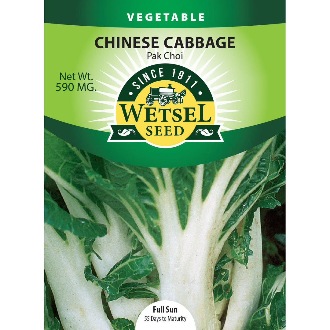 Wetsel Seed™ Pak Choi Chinese Cabbage Seed - Greenhouse Megastore