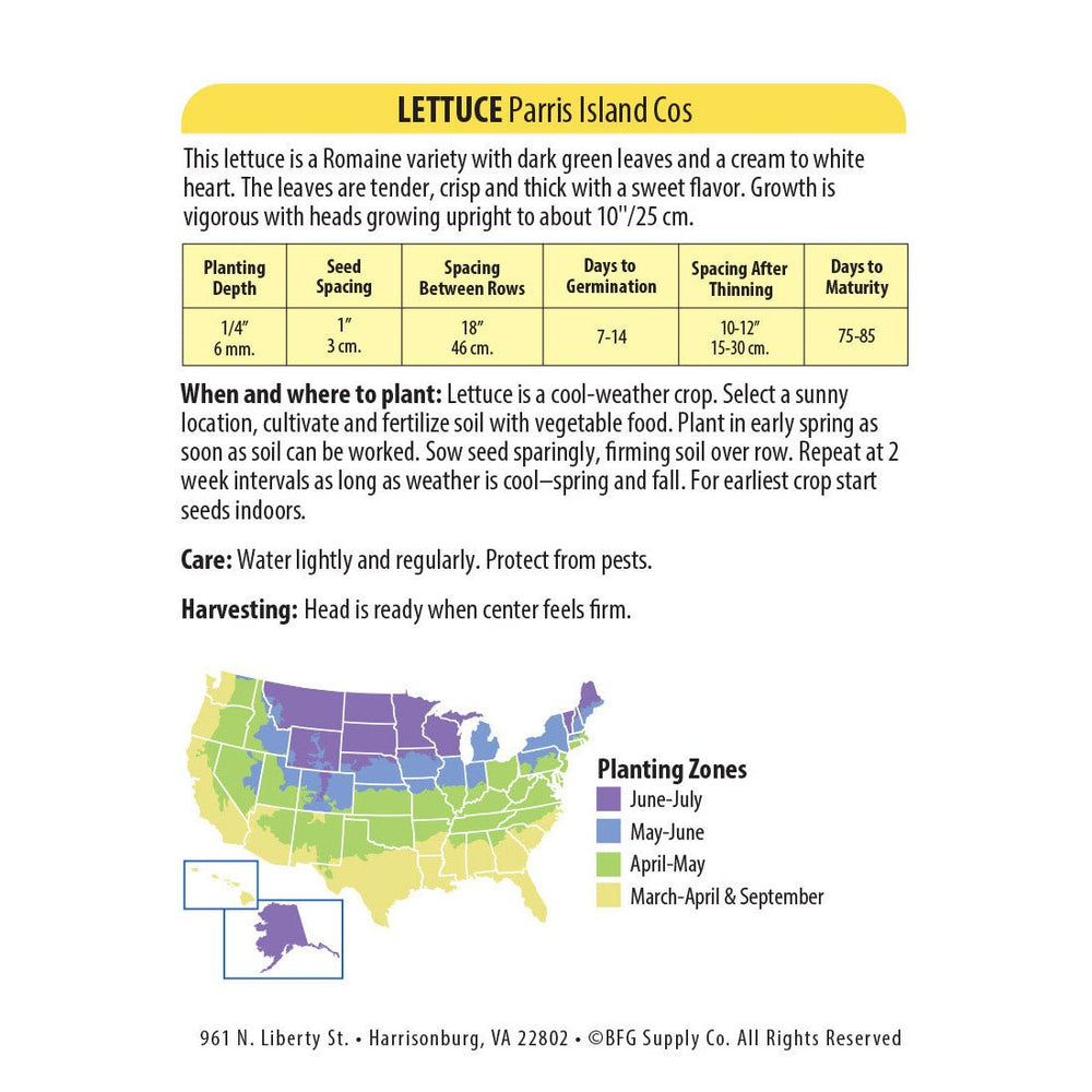 Wetsel Seed™ Paris Island Cos Romaine Lettuce Seed - Greenhouse Megastore