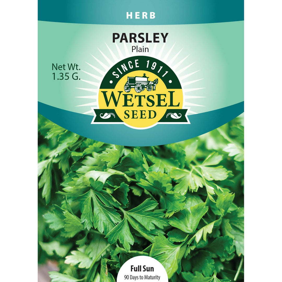 Wetsel Seed™ Parsley Plain Seed - Greenhouse Megastore