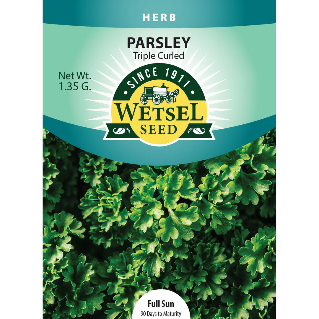 Wetsel Seed™ Parsley Triple Curled Seed - Greenhouse Megastore