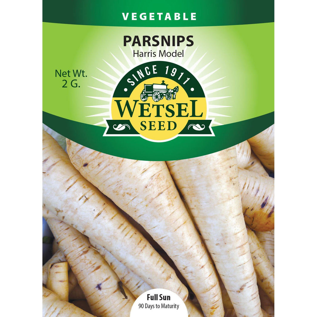 Wetsel Seed™ Parsnips Harris Model Seed - Greenhouse Megastore