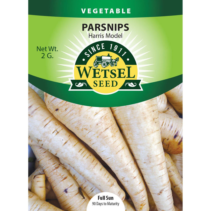 Wetsel Seed™ Parsnips Harris Model Seed - Greenhouse Megastore