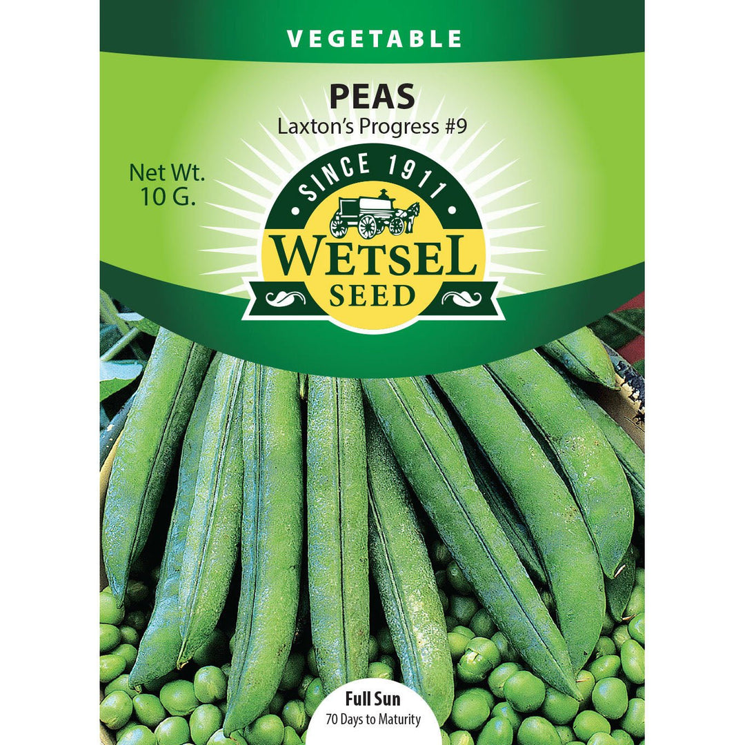 Wetsel Seed™ Peas Laxton Progress 9 Seed - Greenhouse Megastore