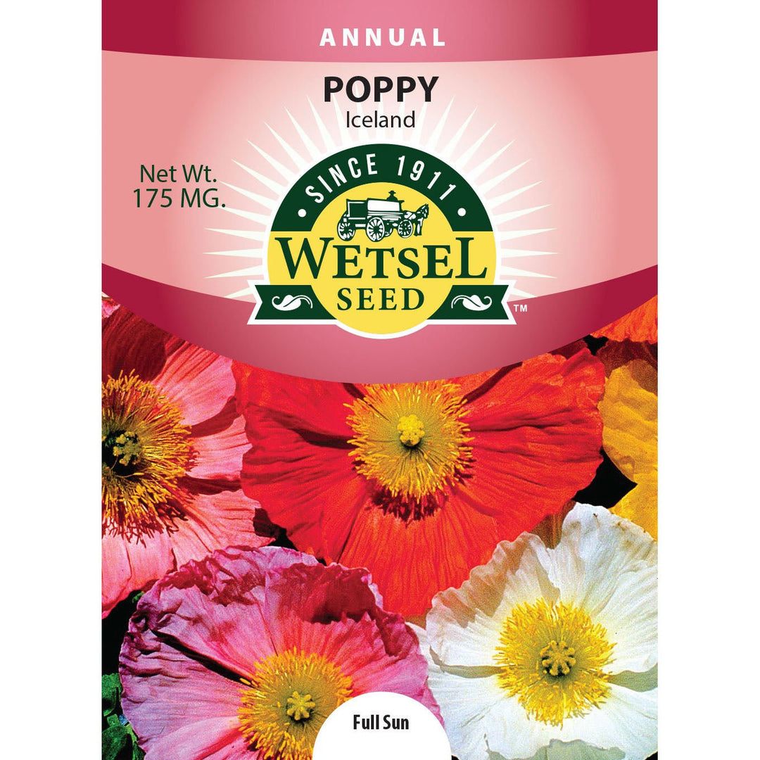 Wetsel Seed™ Poppy Iceland Seed - Greenhouse Megastore