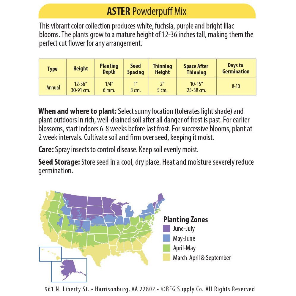 Wetsel Seed™ Powderpuff Aster Seed - Greenhouse Megastore