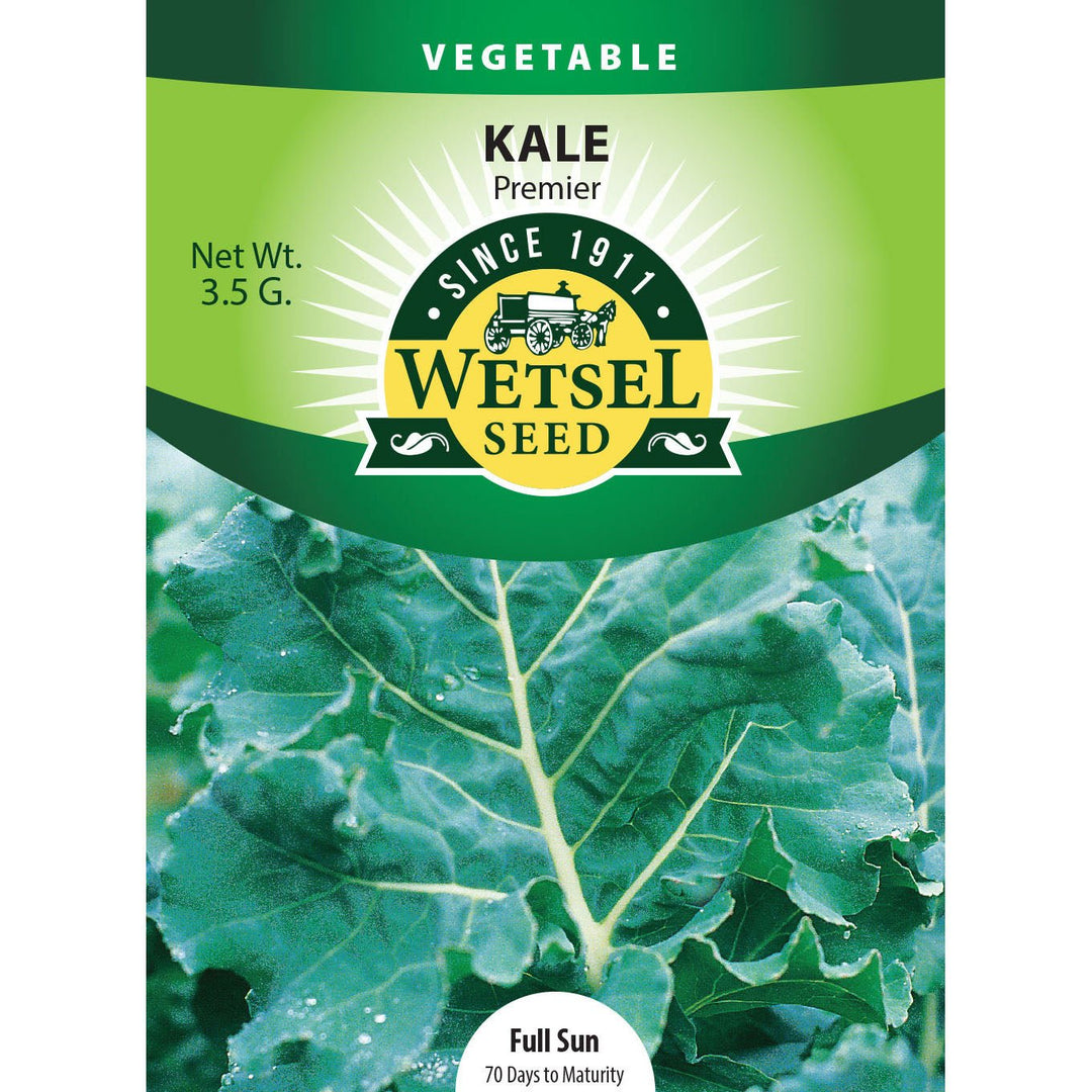 Wetsel Seed™ Premier Kale Seed - Greenhouse Megastore