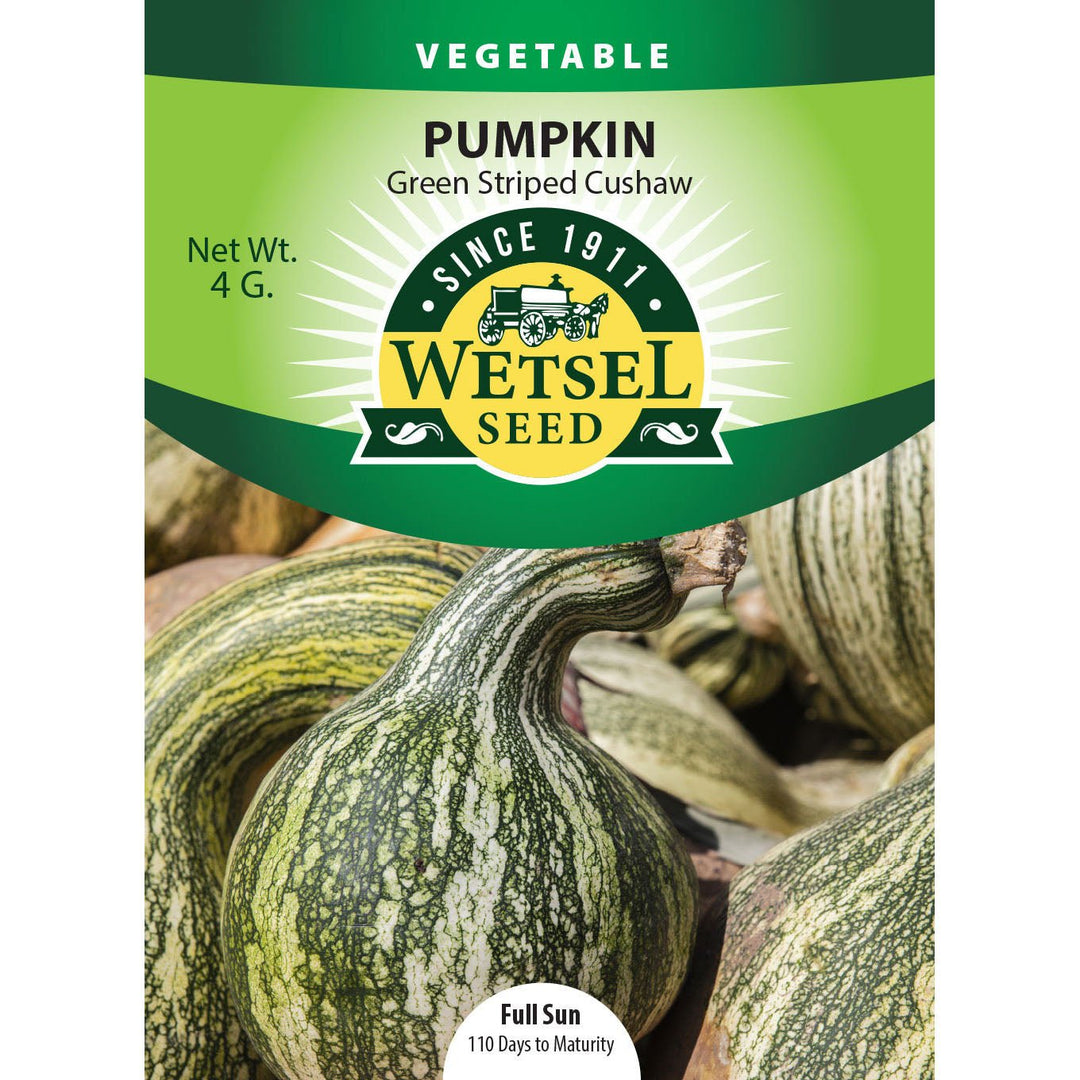 Wetsel Seed™ Pumpkin Green Striped Cushaw Seed - Greenhouse Megastore