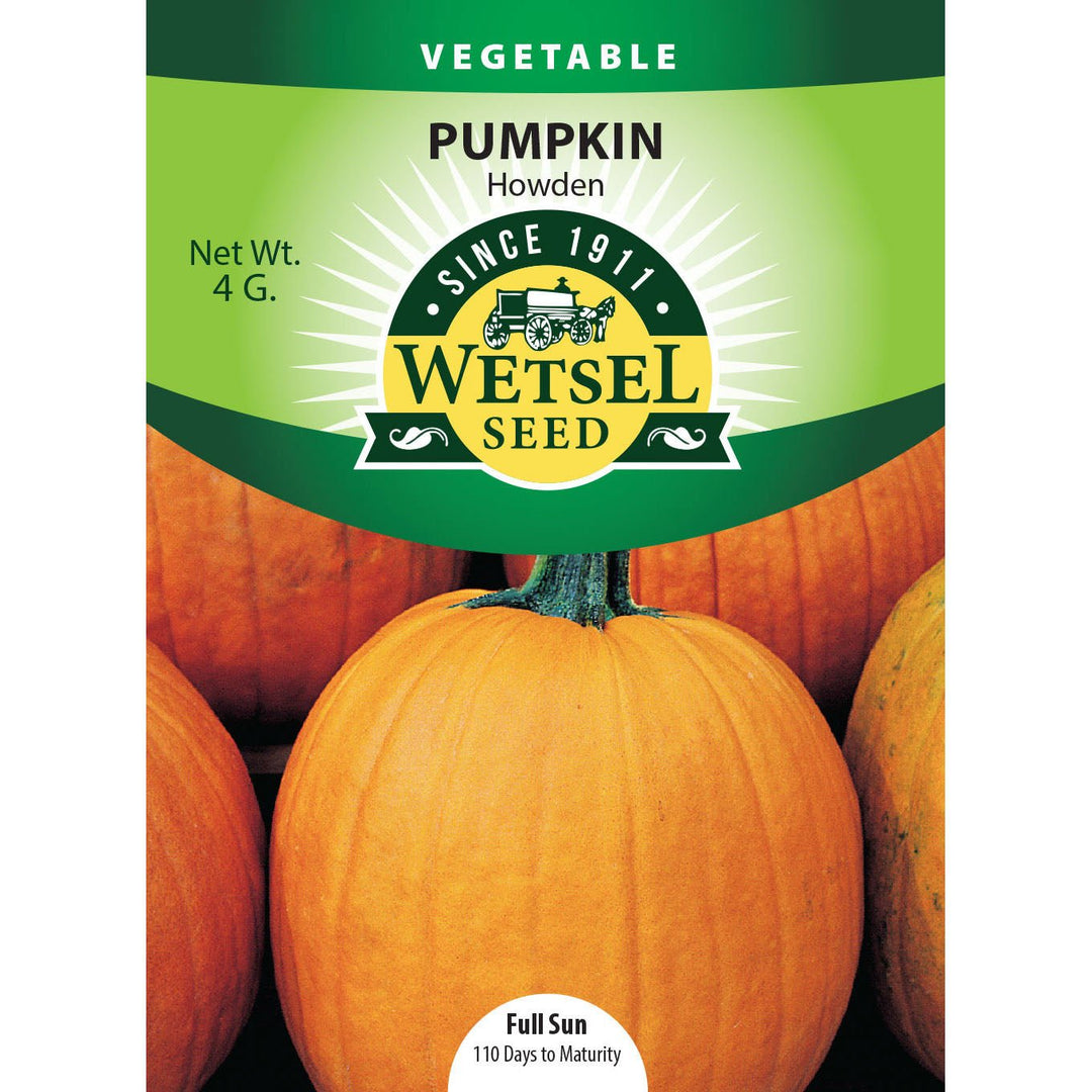 Wetsel Seed™ Pumpkin Howden Seed - Greenhouse Megastore