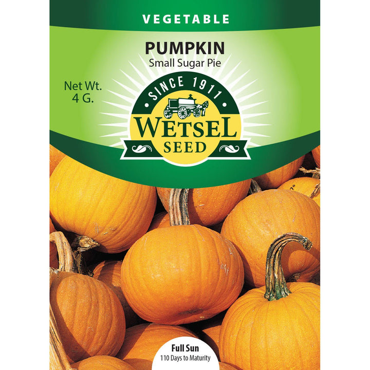 Wetsel Seed™ Pumpkin Small Sugar Pie Seed - Greenhouse Megastore