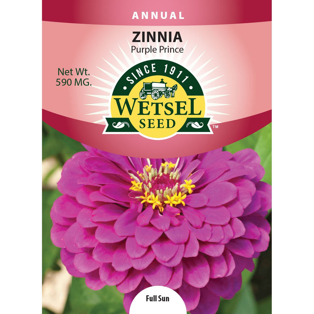 Wetsel Seed™ Purple Prince Zinnia Seed - Greenhouse Megastore