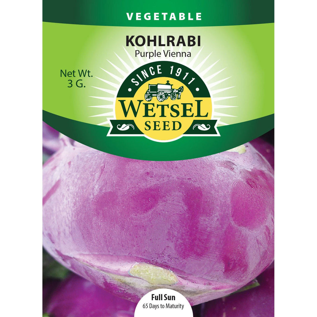 Wetsel Seed™ Purple Vienna Kohlrabi Seed - Greenhouse Megastore