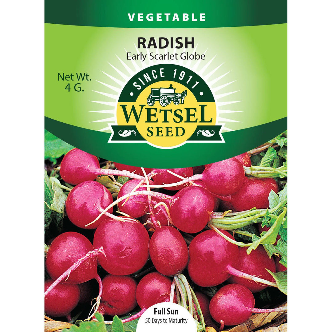 Wetsel Seed™ Radish Scarlet Globe Seed - Greenhouse Megastore