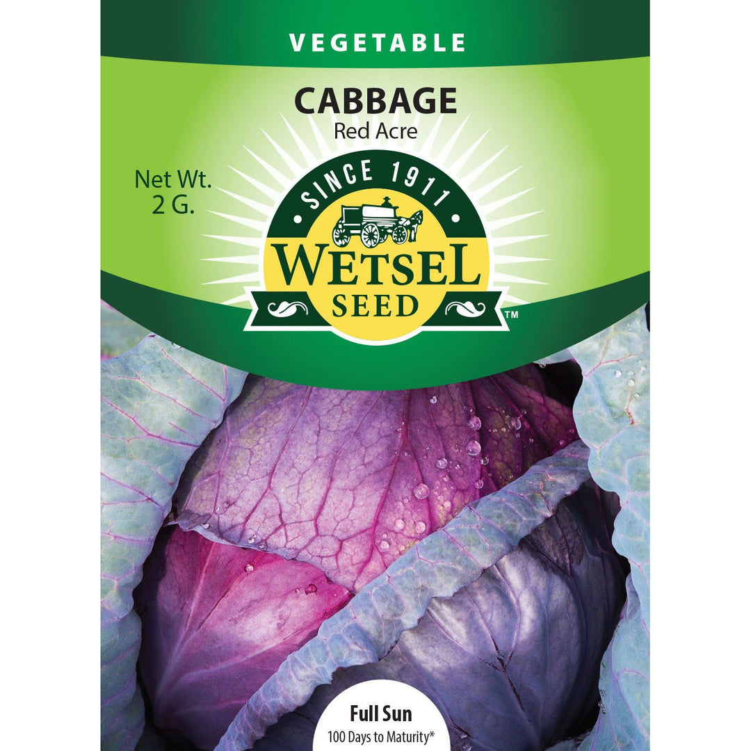 Wetsel Seed™ Red Acre Cabbage Seed - Greenhouse Megastore