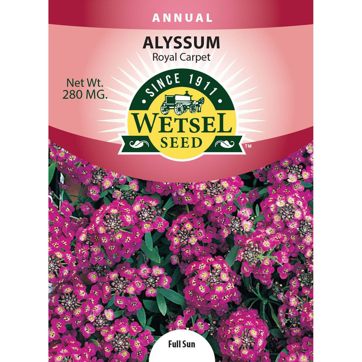 Wetsel Seed™ Royal Carpet Alyssum Seed - Greenhouse Megastore