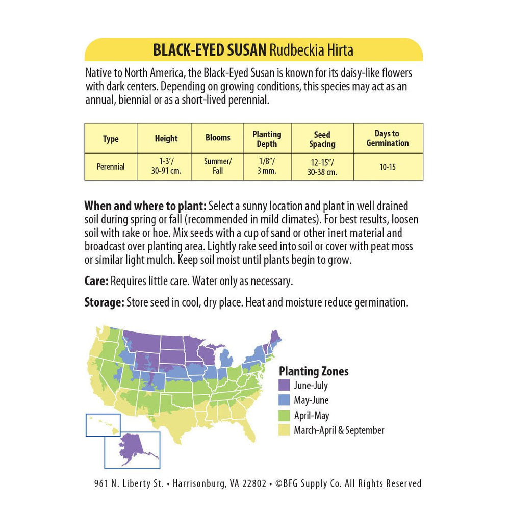 Wetsel Seed™ Rudbeckia Hirta Black Eyed Susan Seed - Greenhouse Megastore