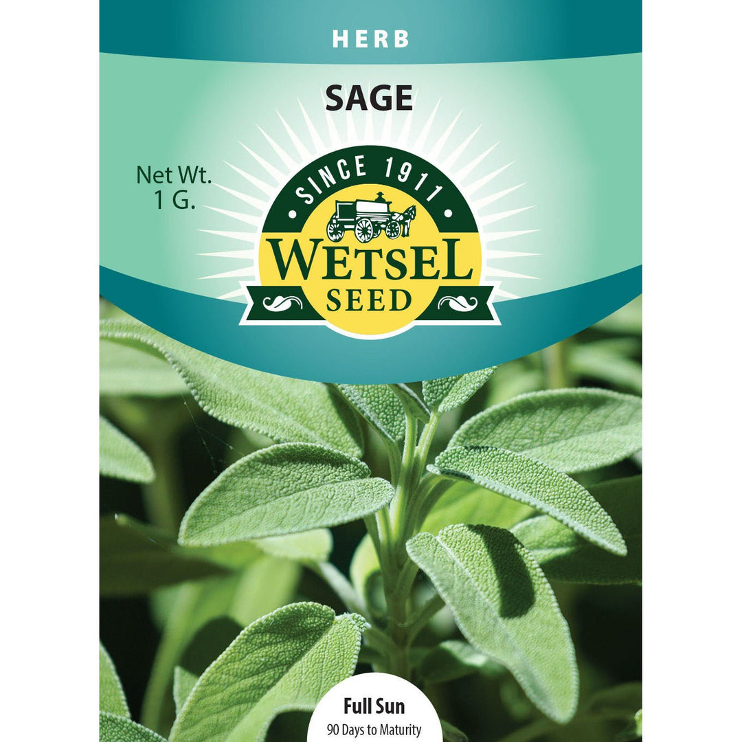 Wetsel Seed™ Sage Seed - Greenhouse Megastore