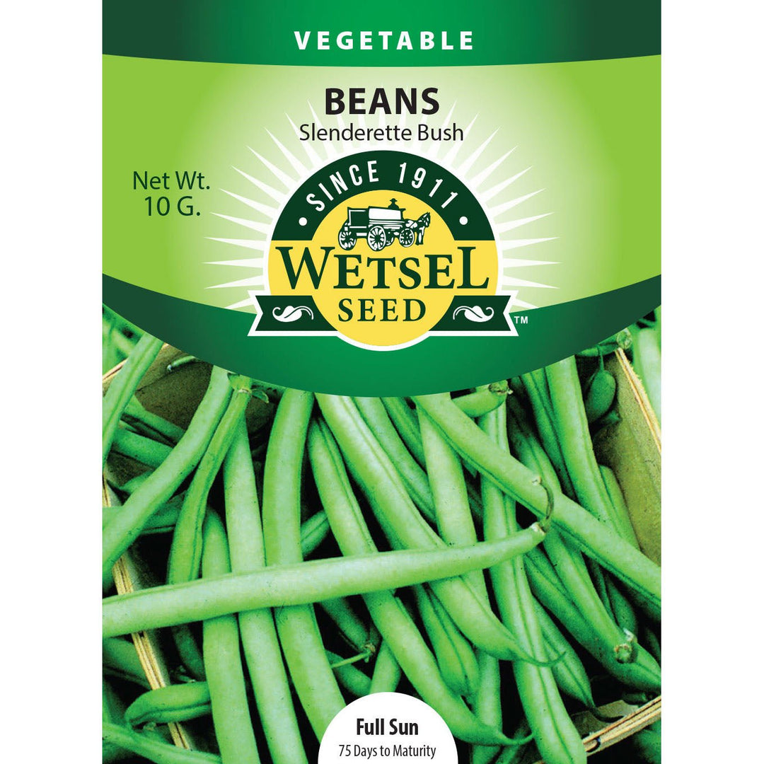 Wetsel Seed™ Slenderette Bush Bean Seed - Greenhouse Megastore