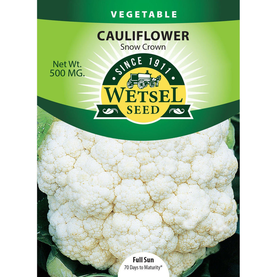 Wetsel Seed™ Snow Crown Cauliflower Seed - Greenhouse Megastore