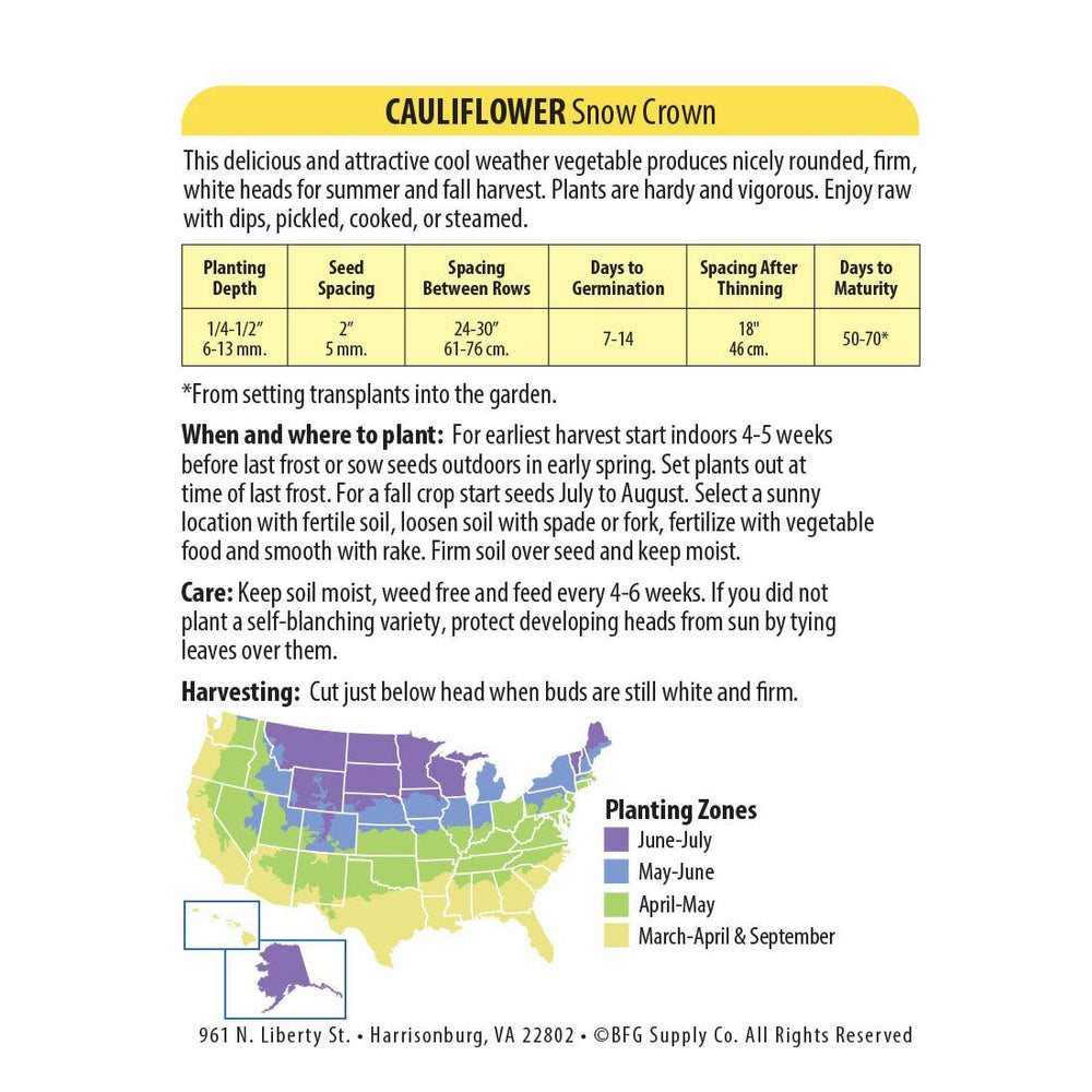 Wetsel Seed™ Snow Crown Cauliflower Seed - Greenhouse Megastore
