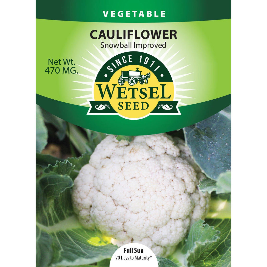 Wetsel Seed™ Snowball Improved Cauliflower Seed - Greenhouse Megastore