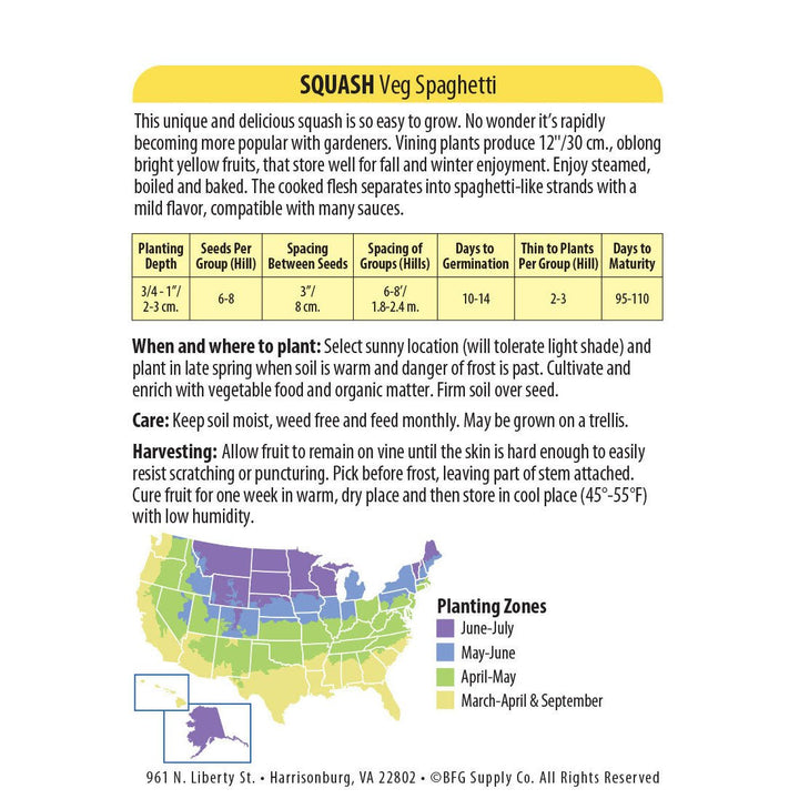 Wetsel Seed™ Spaghetti Squash Seed - Greenhouse Megastore