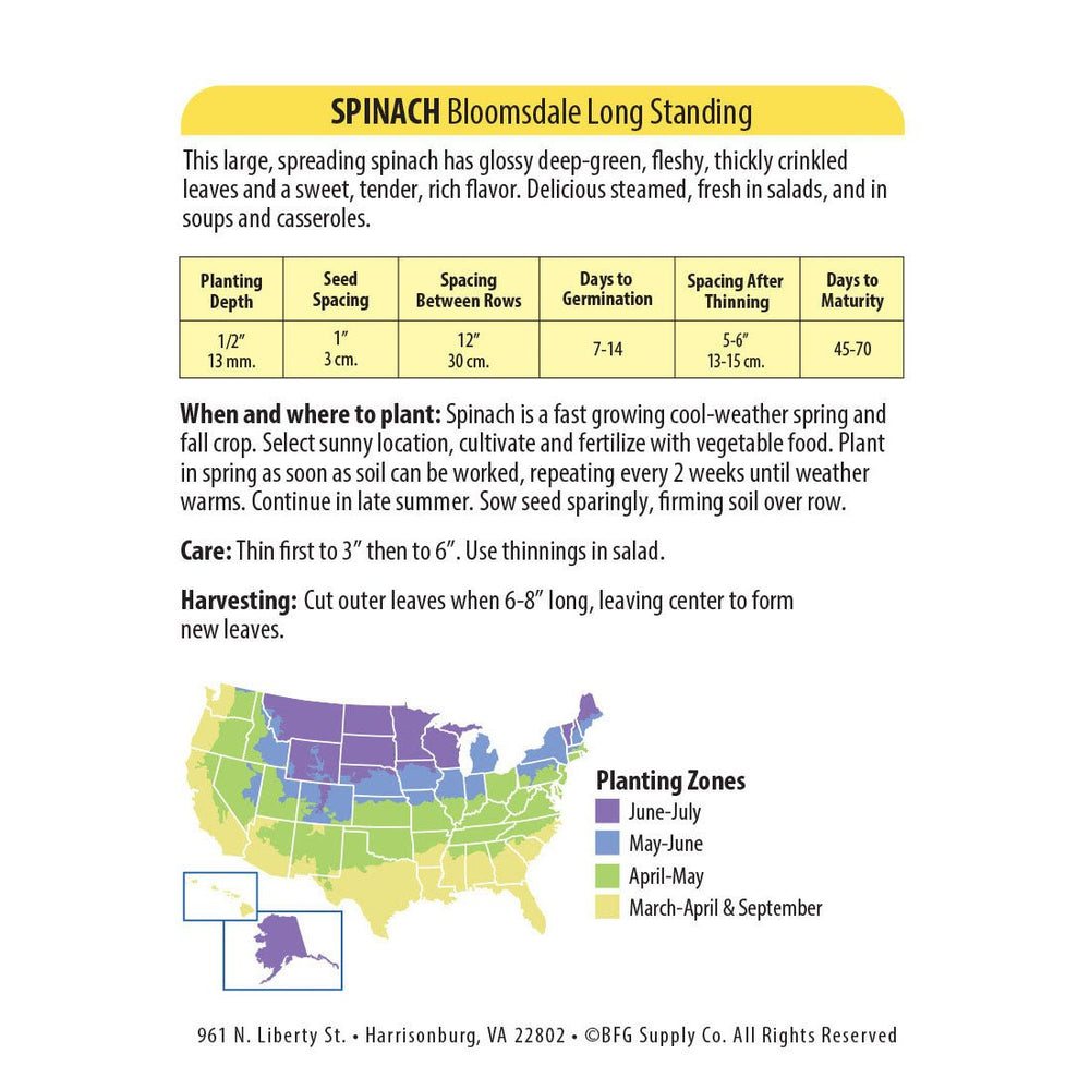 Wetsel Seed™ Spinach Bloomsdale Long Standing Seed - Greenhouse Megastore