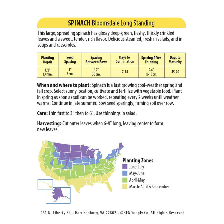Wetsel Seed™ Spinach Bloomsdale Long Standing Seed - Greenhouse Megastore