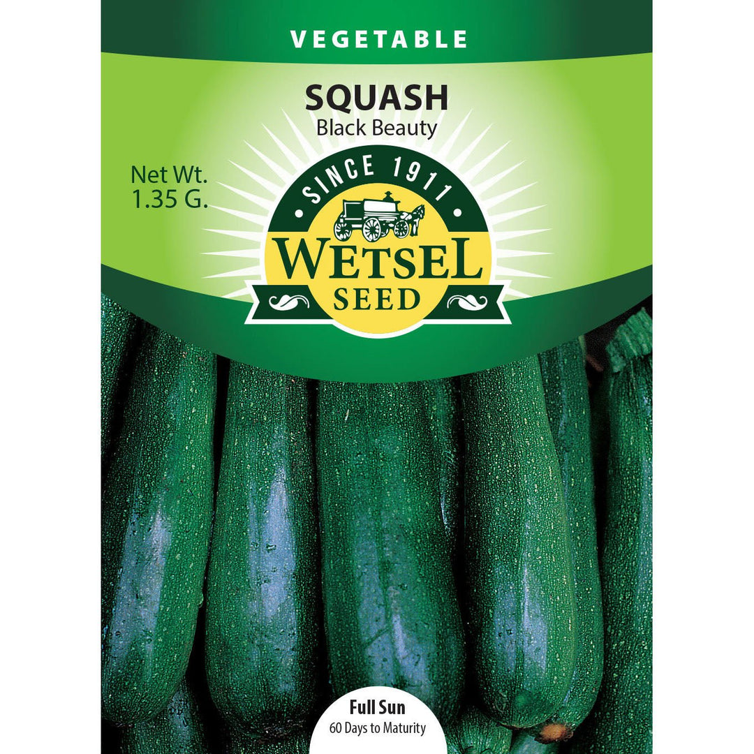 Wetsel Seed™ Squash Black Beauty Zucchini Seed - Greenhouse Megastore