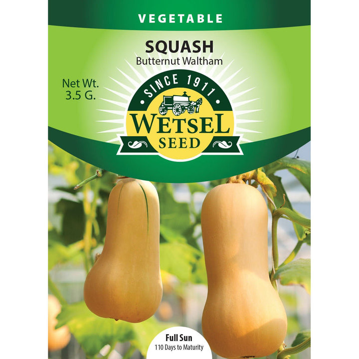 Wetsel Seed™ Squash Butternut Waltham Seed - Greenhouse Megastore