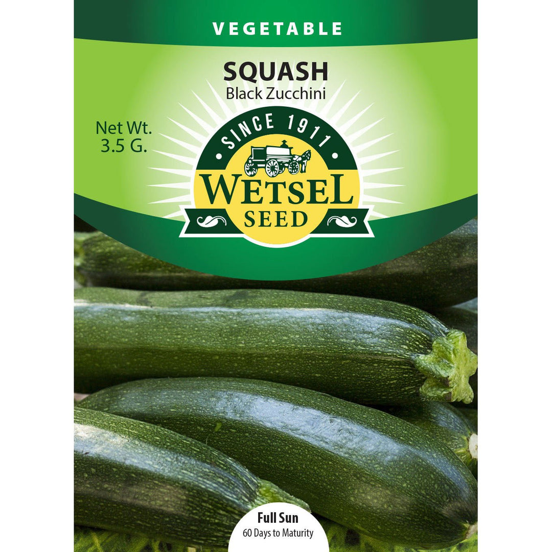 Wetsel Seed™ Squash Dark Green (Black) Zucchini Seed - Greenhouse Megastore