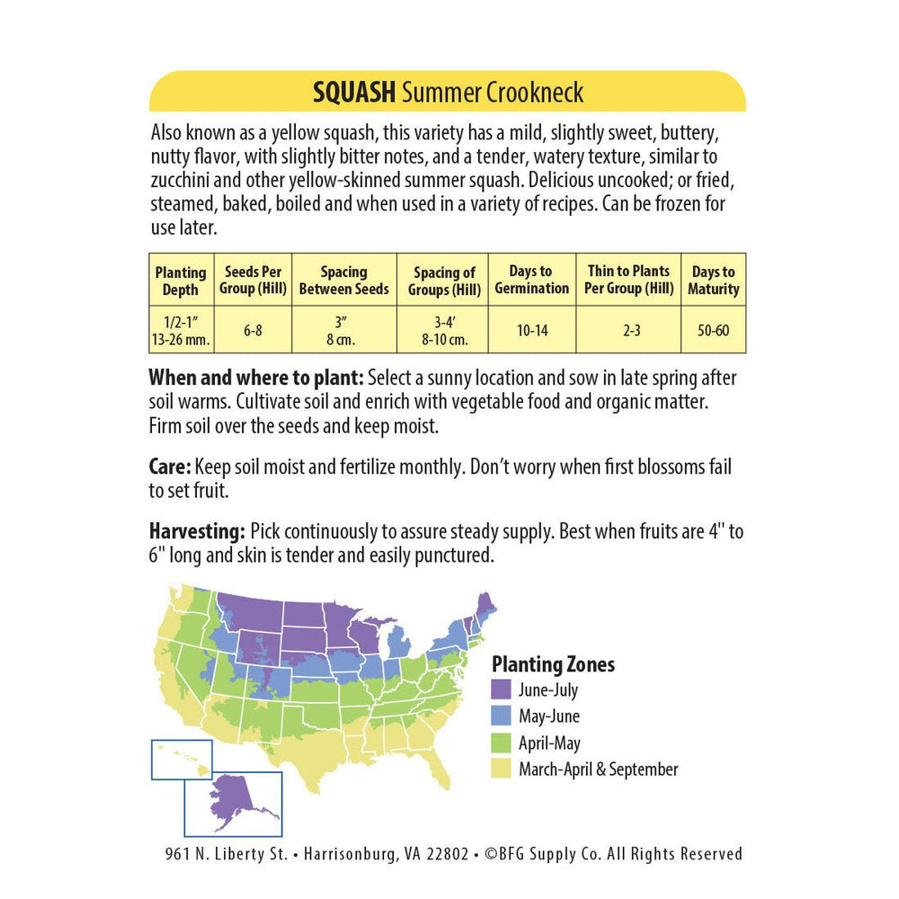 Wetsel Seed™ Squash Golden Crookneck Zucchini Seed - Greenhouse Megastore