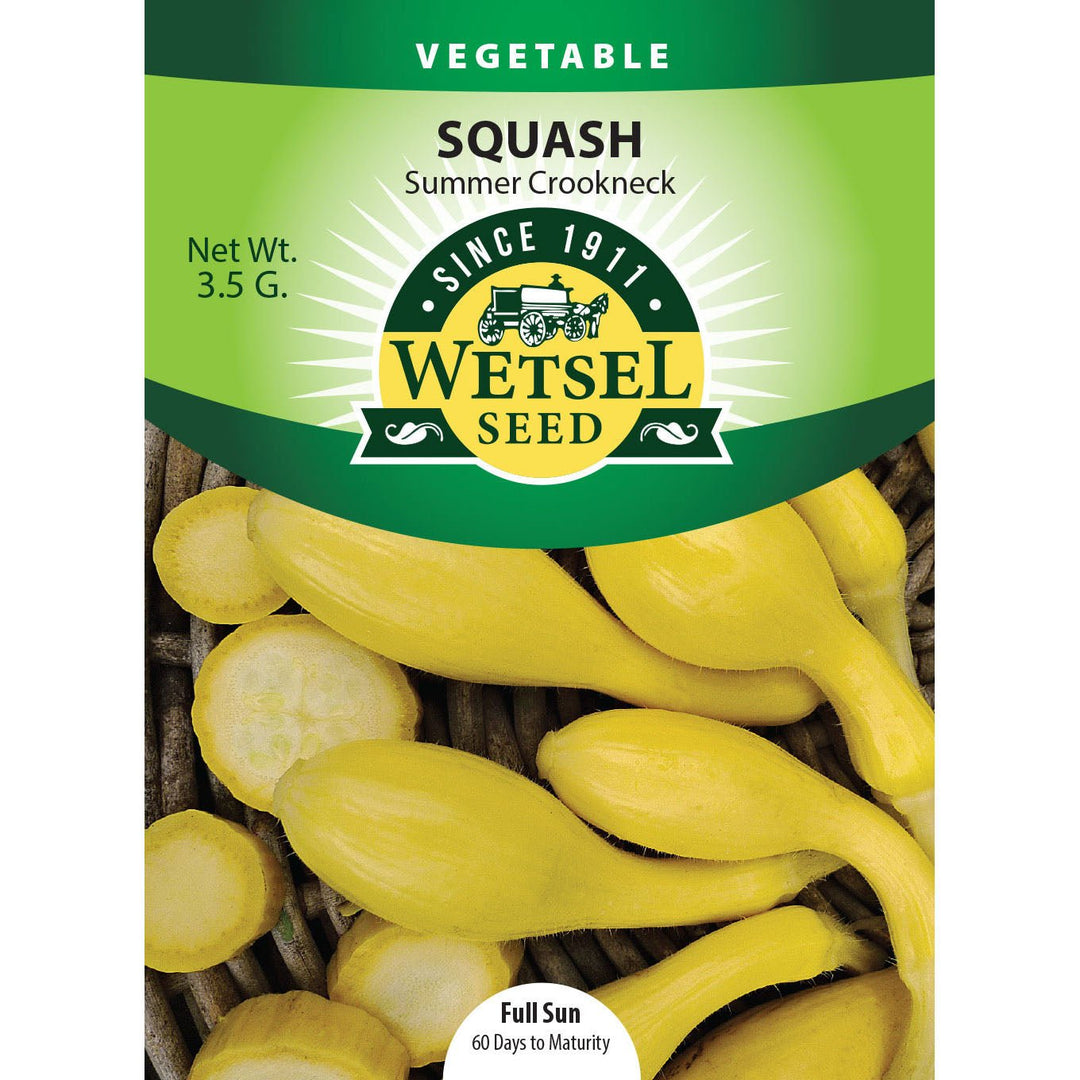 Wetsel Seed™ Squash Golden Crookneck Zucchini Seed - Greenhouse Megastore