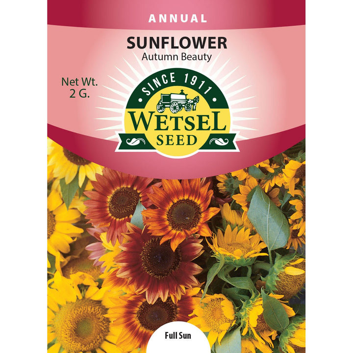 Wetsel Seed™ Sunflower Autumn Beauty Seed - Greenhouse Megastore
