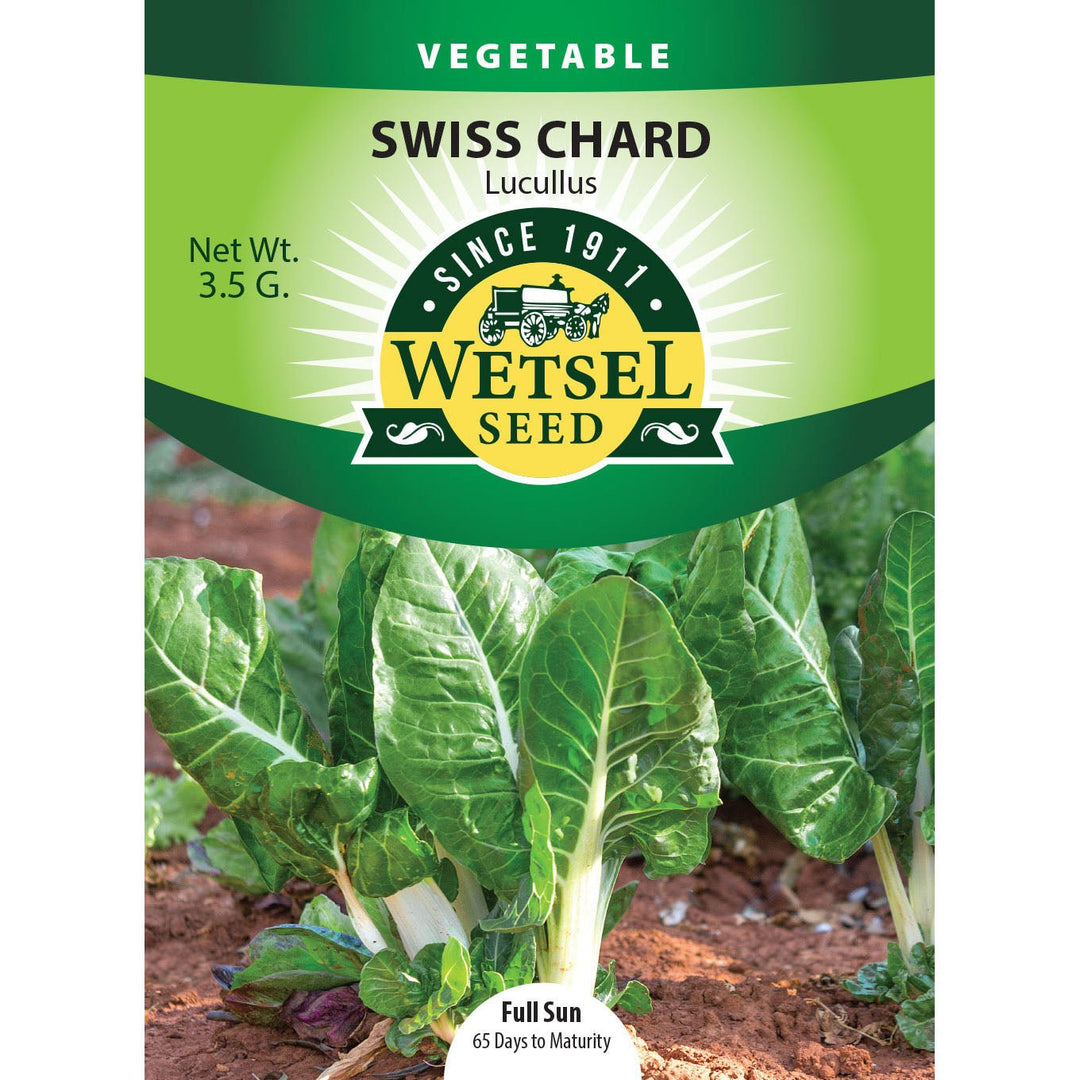 Wetsel Seed™ Swiss Chard Lucullus Seed - Greenhouse Megastore