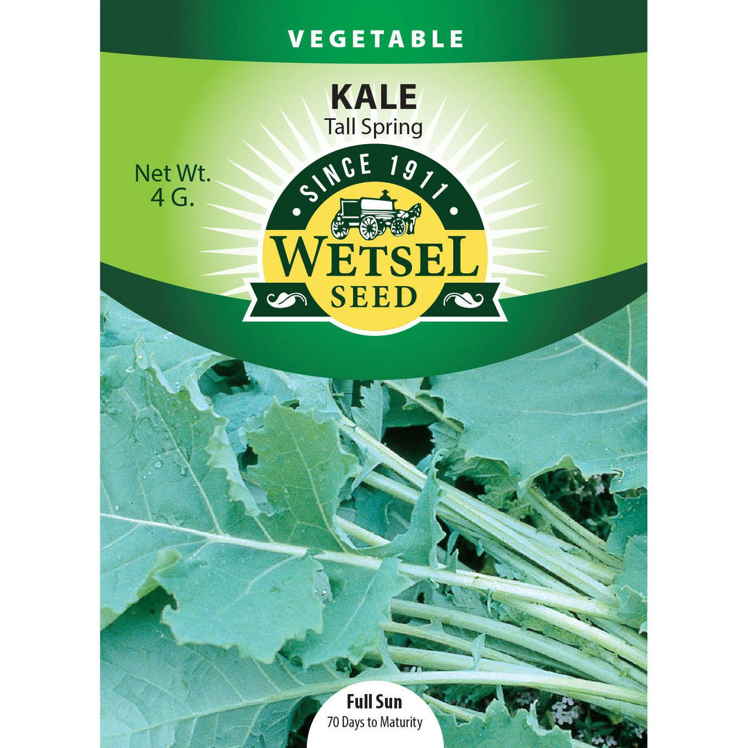 Wetsel Seed™ Tall Spring Kale Seed - Greenhouse Megastore