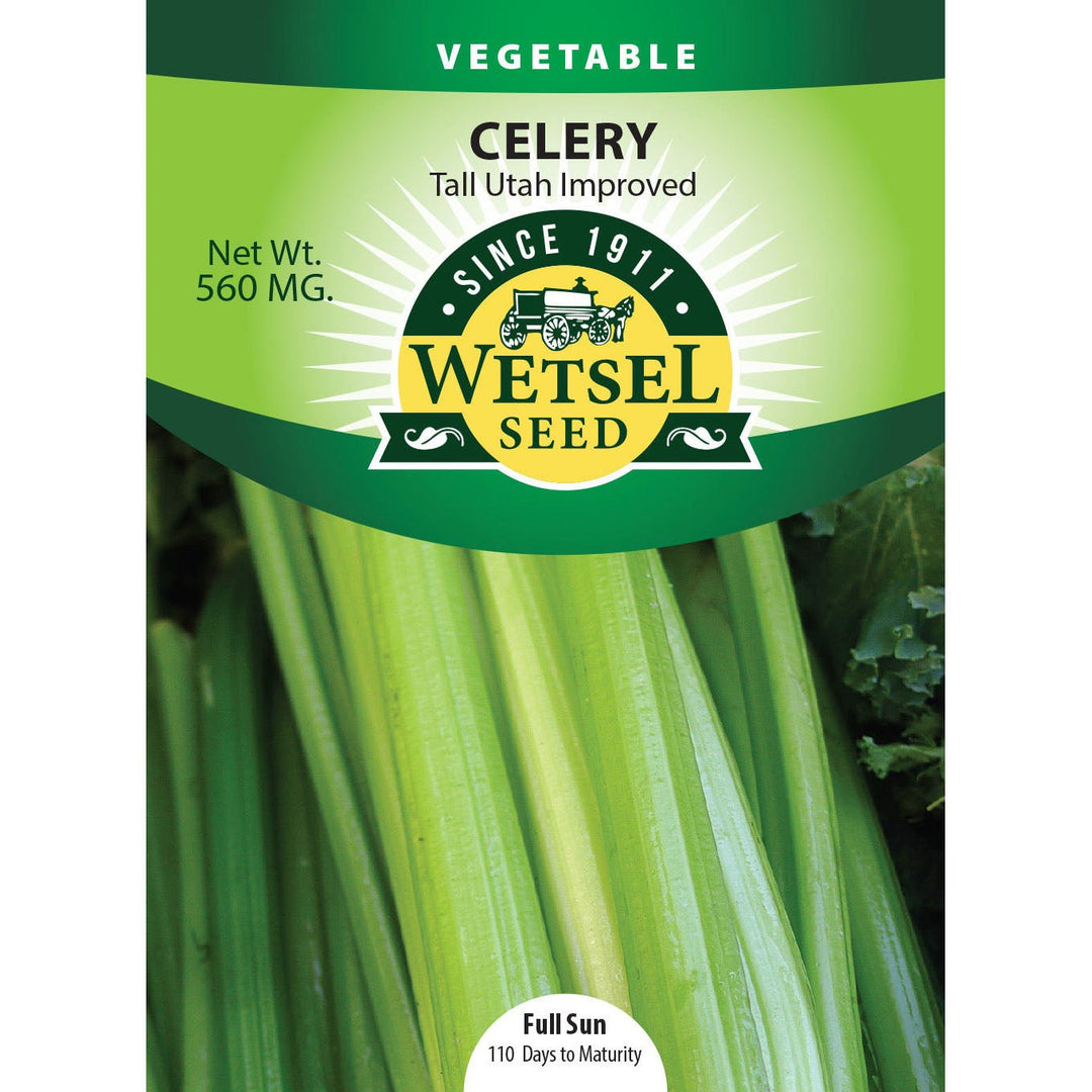 Wetsel Seed™ Tall Utah Improved Celery Seed - Greenhouse Megastore