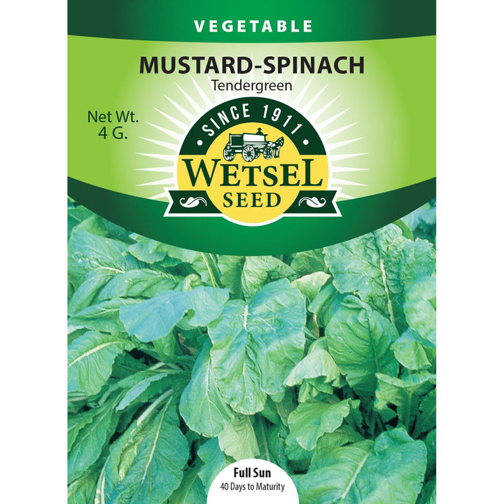 Wetsel Seed™ Tendergreen Mustard - Spinach Seed - Greenhouse Megastore