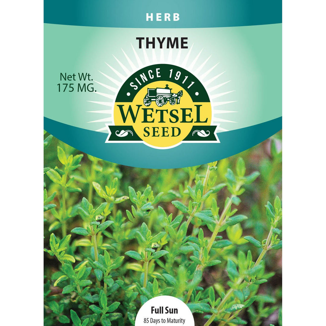 Wetsel Seed™ Thyme Seed - Greenhouse Megastore